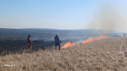 Ой, хээрийн 52 удаагийн гал түймрийн дуудлага бүртгэгдлээ